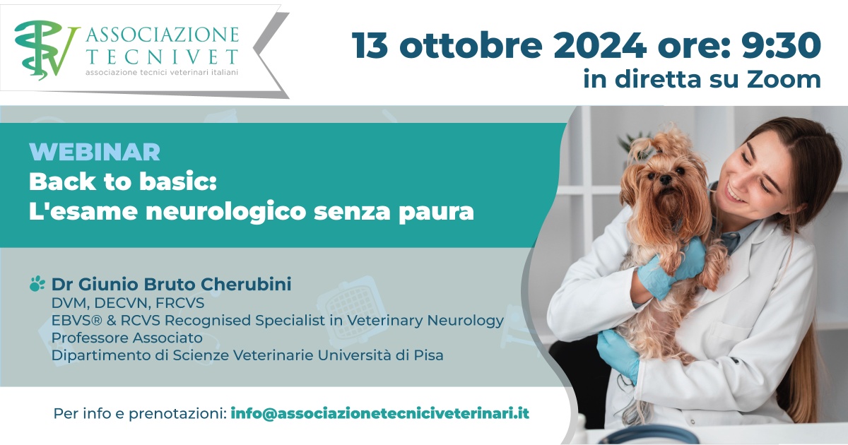 Cover Webinar Pronto Soccorso Neurologico