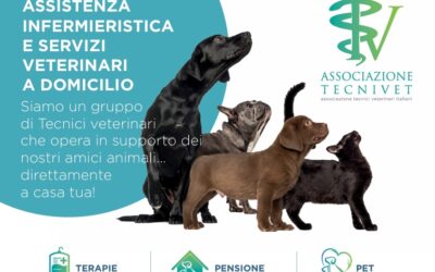 assistenza infermieristica e servizi veterinari a domicilio