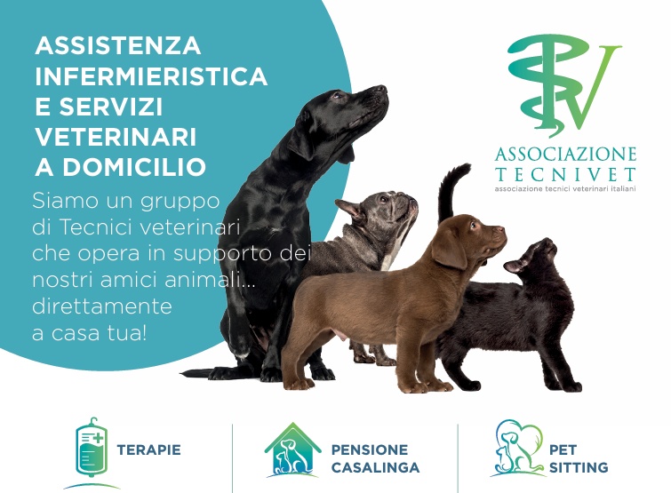 assistenza infermieristica e servizi veterinari a domicilio