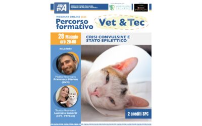 Crisi convulsive e e stato epilettico