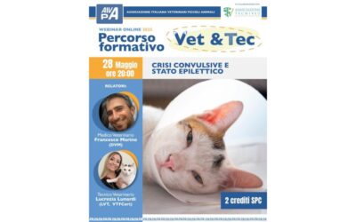 Crisi convulsive e e stato epilettico