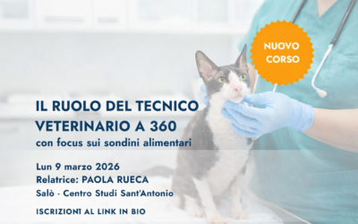 Focus sui sondini alimentari: un pilastro nella cura del paziente critico.