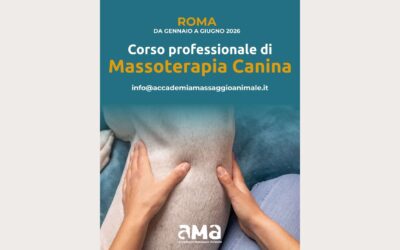 Massoterapia Canina: una competenza chiave per il tecnico veterinario