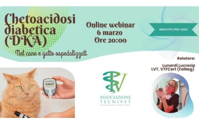 Chetoacidosi diabetica (DKA) nel cane e gatto ospedalizzati (webinar)