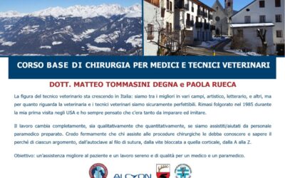 Corso Base di Chirurgia per Medici e Tecnici Veterinari