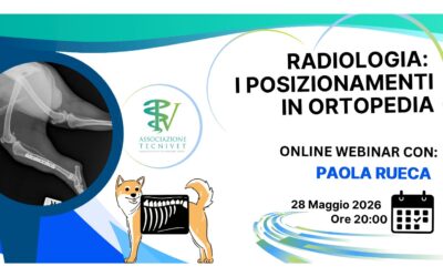Webinar Online – Radiologia: I Posizionamenti in Ortopedia