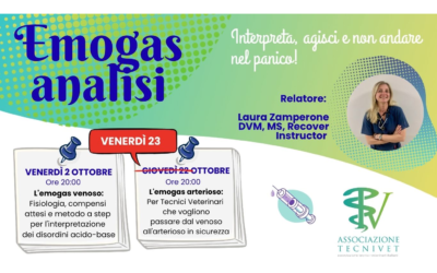 Emogasanalisi: Interpreta, agisci e non andare nel panico!