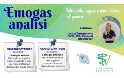 Emogasanalisi: Interpreta, agisci e non andare nel panico!